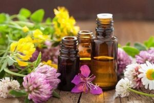 Vòng trầm hương từ thiên nhiên - Ngọc Trầm Hương