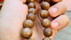 Trầm tốc Lào